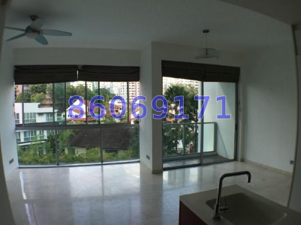 One Tree Hill Residence (D10), Apartment #70229571